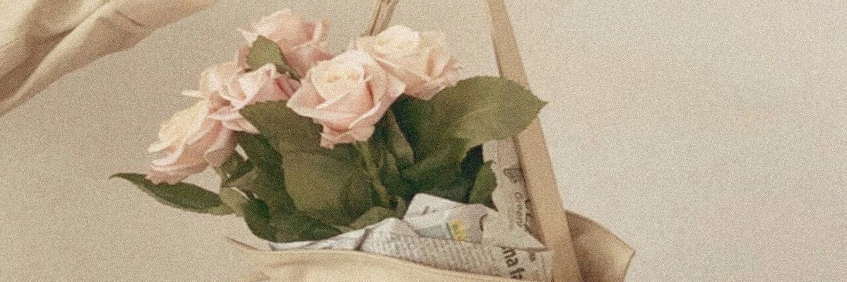 Belén Bárcena banner