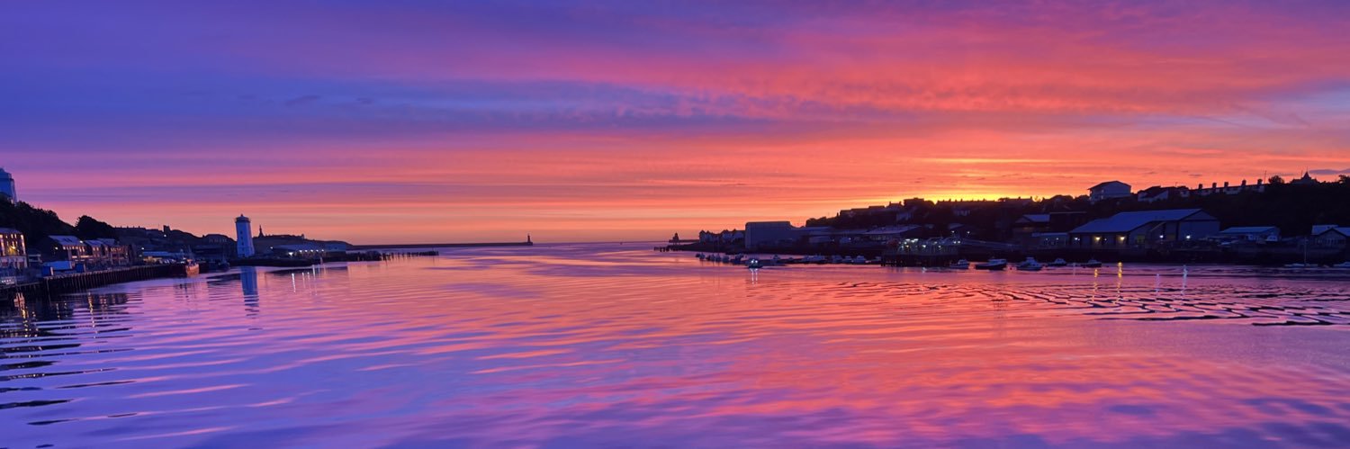 Will Washington banner