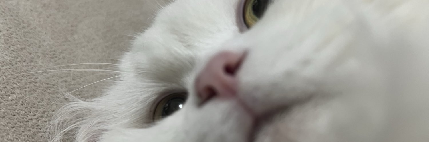 gzdearkan2's profile banner image