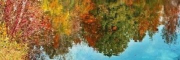 attractor95's profile banner image