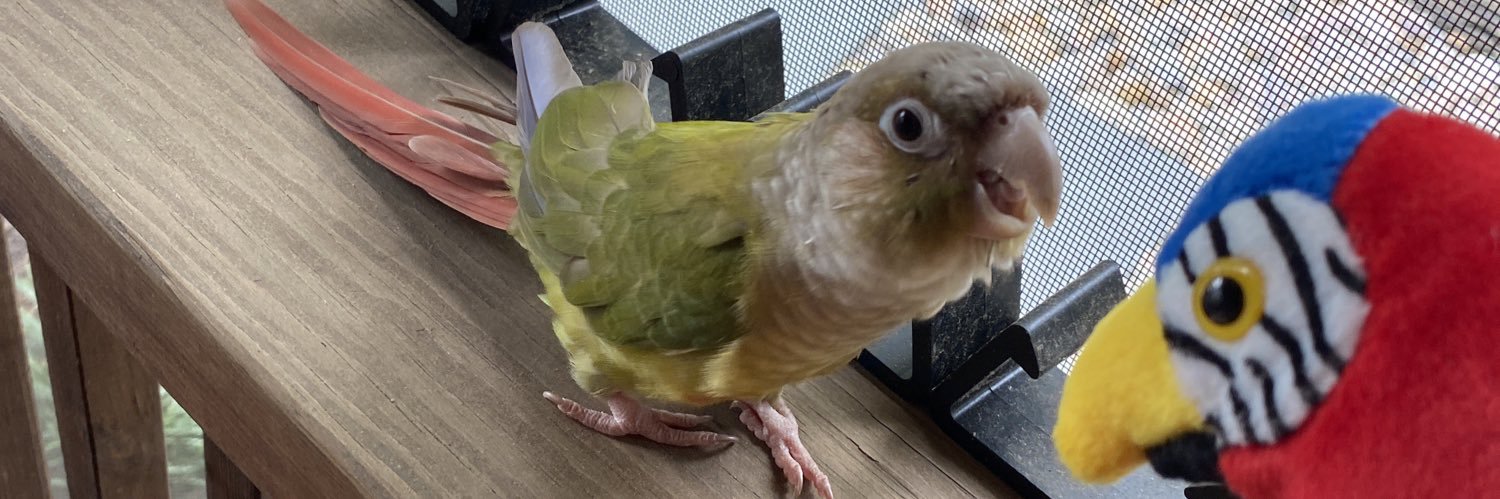 Rain | AC 2026 banner