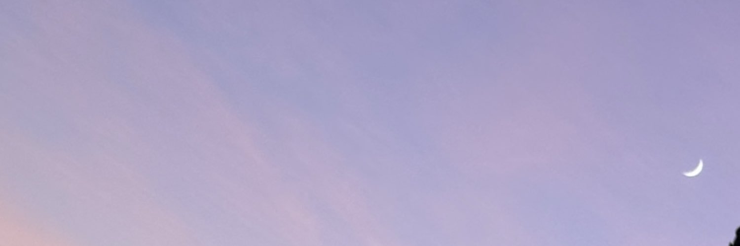 SailorMoon banner