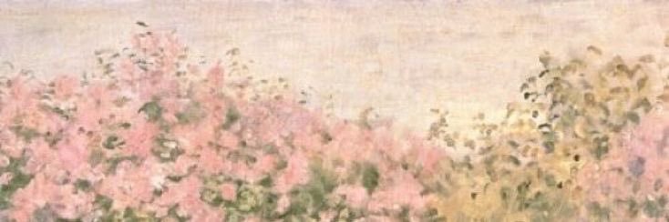Princess Fae :3 banner