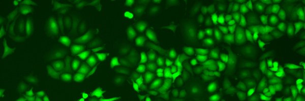 MohamadNajia Profile Banner