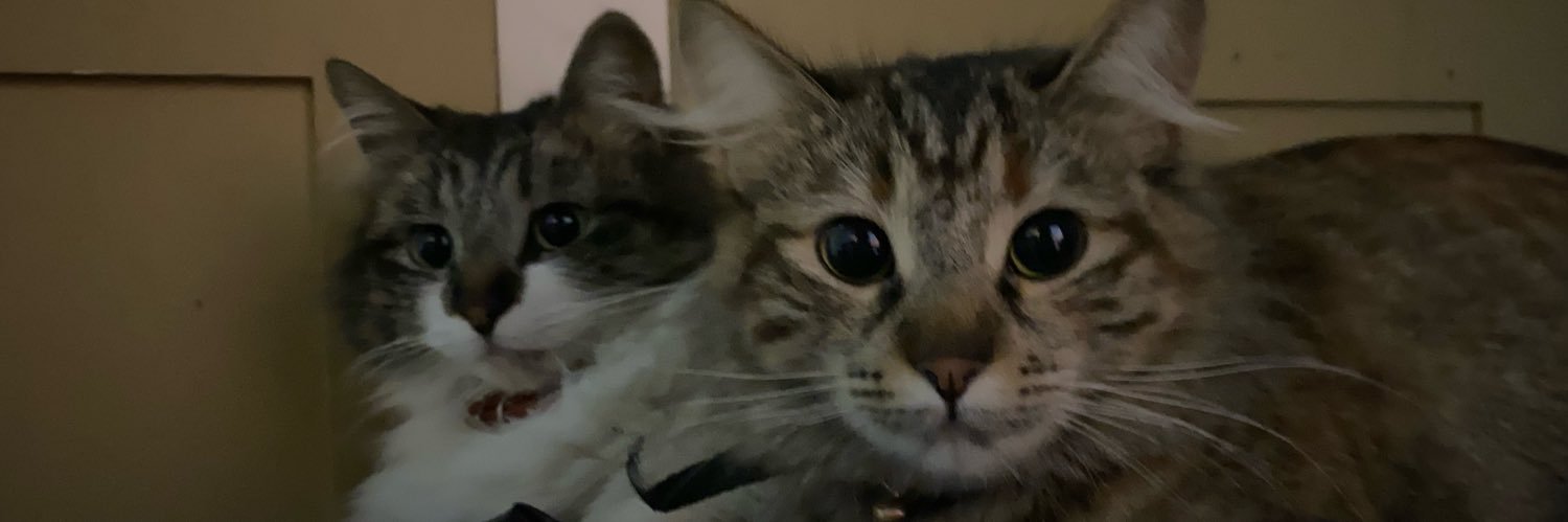 isa💌 banner