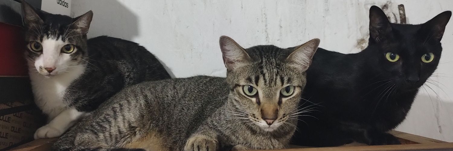 dedosdeet's profile banner image
