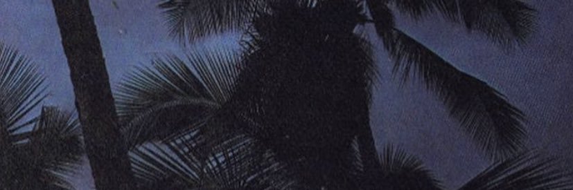 wanrszy's profile banner image