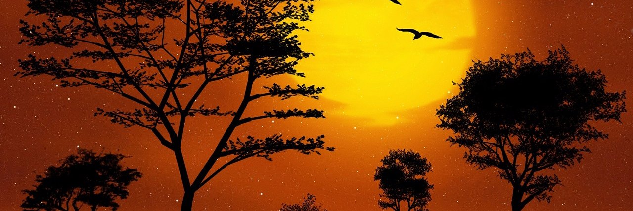 thuo44's profile banner image