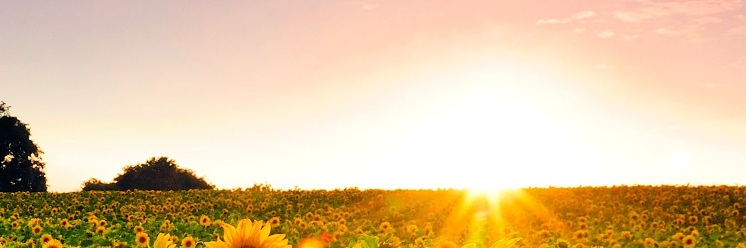 jkamesan's profile banner image