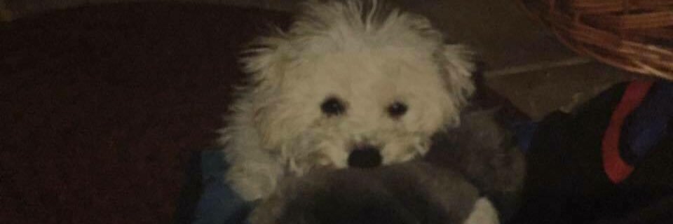 mulk_20's profile banner image