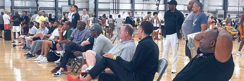 BWSL SELECT GOLD 17u banner