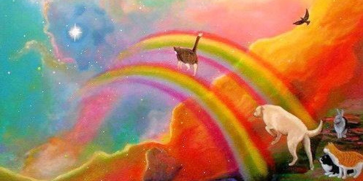 dizzymathdoodle's profile banner image