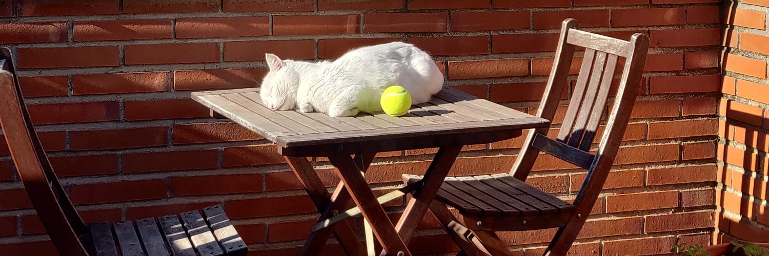 javier ramirez banner