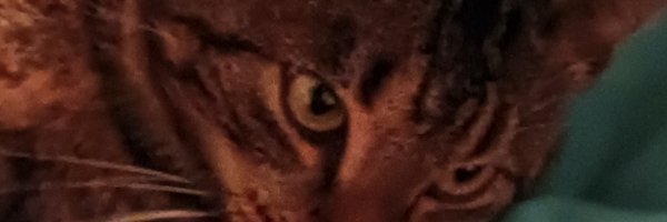 IInvexxx Profile Banner