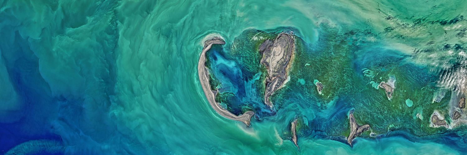 Bernice Barber banner