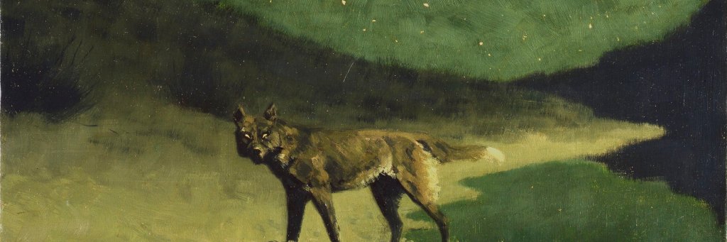 JonyJusid's profile banner image