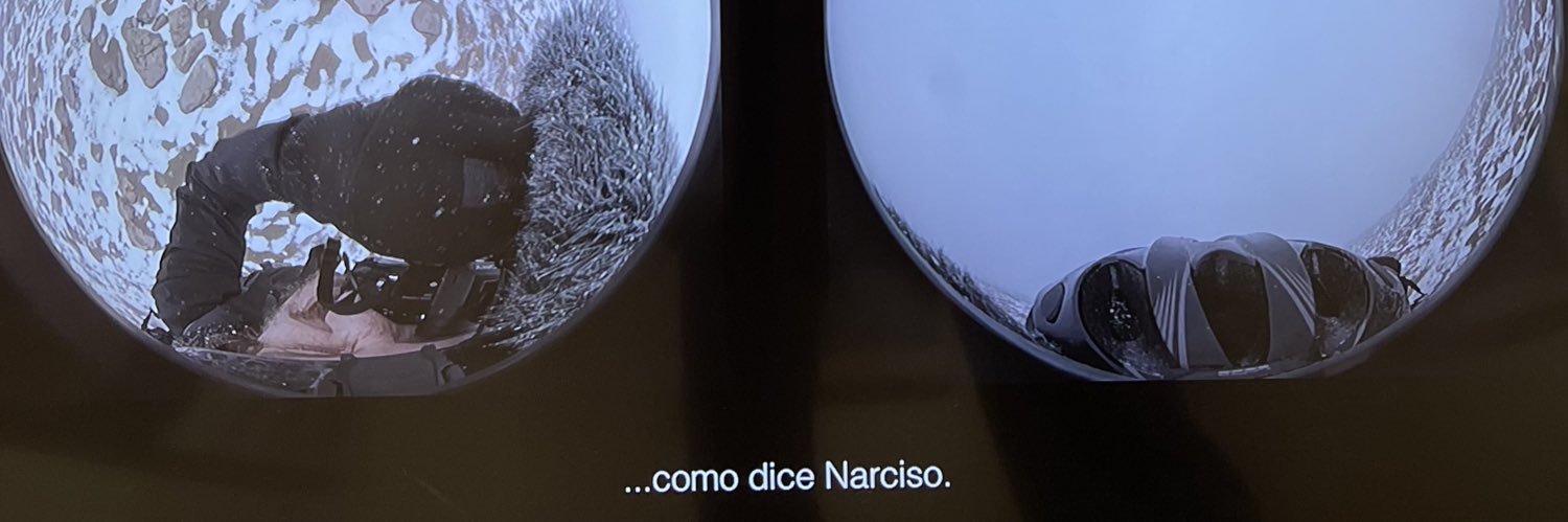 🪐 Roxana Cortés banner