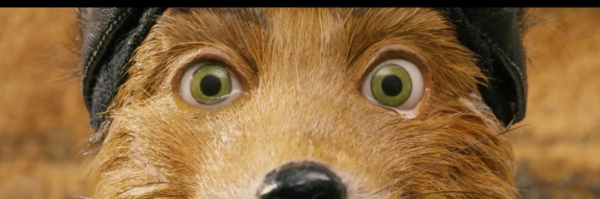chain_shaw's profile banner image