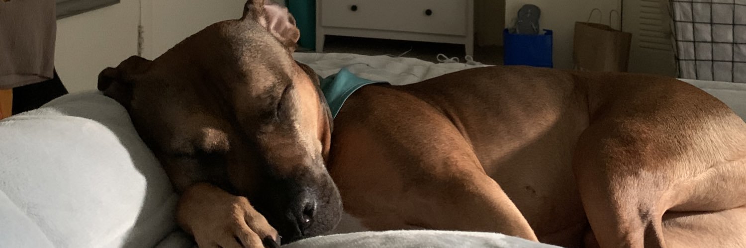 Cassandra Modrak, MS banner