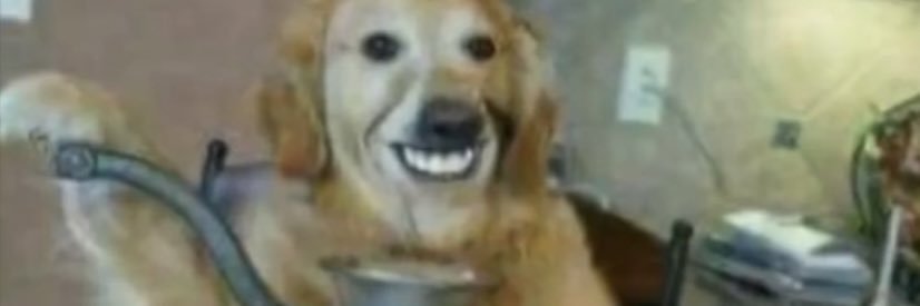 binnyboobaby's profile banner image