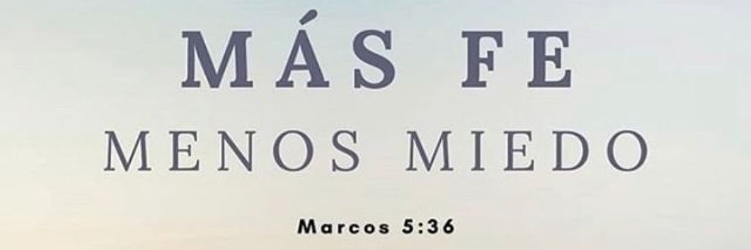 AlbaMier's profile banner image