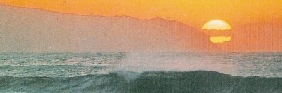 baekiesh's profile banner image