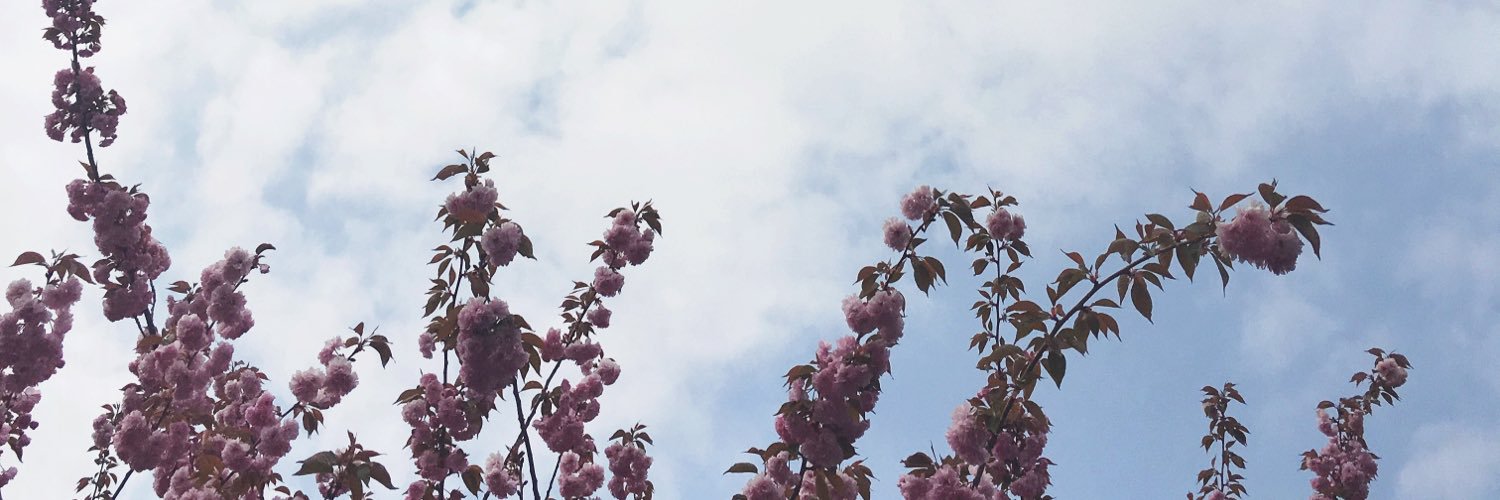 nitadskim's profile banner image