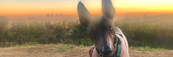 missmonikasmith Profile Banner