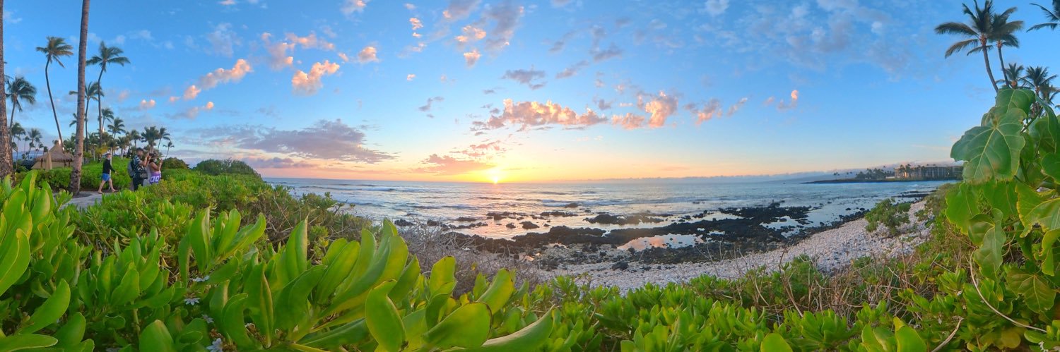 Cat Chen, @catchen@mastodon.world banner