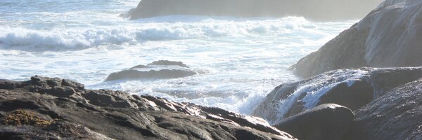 jolinnay Profile Banner