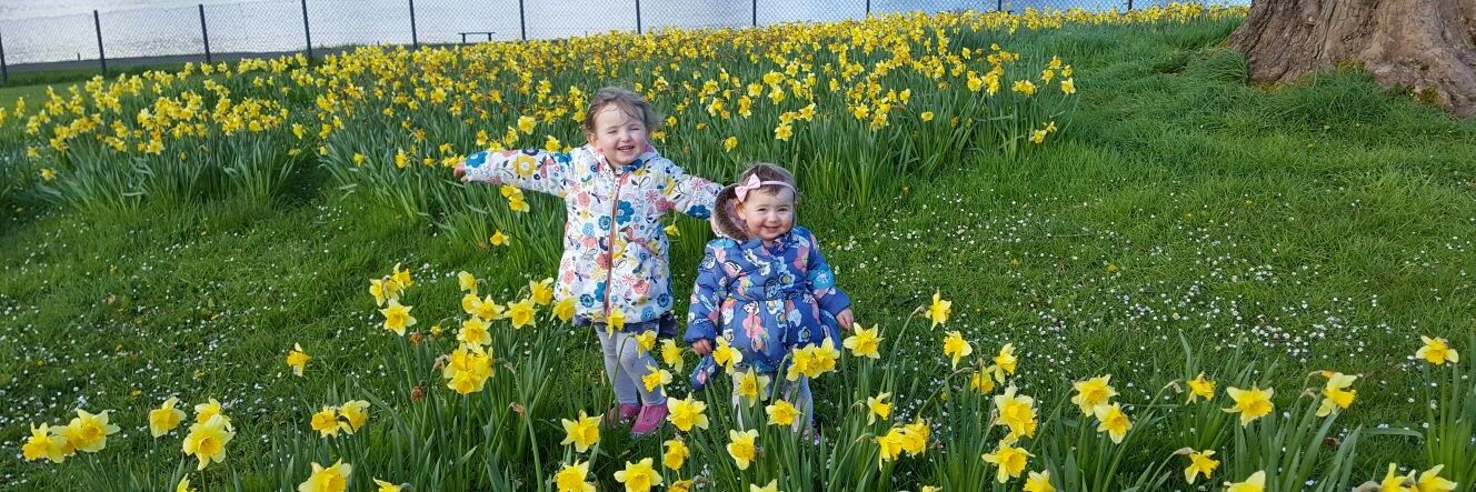 Bronagh Hughes banner