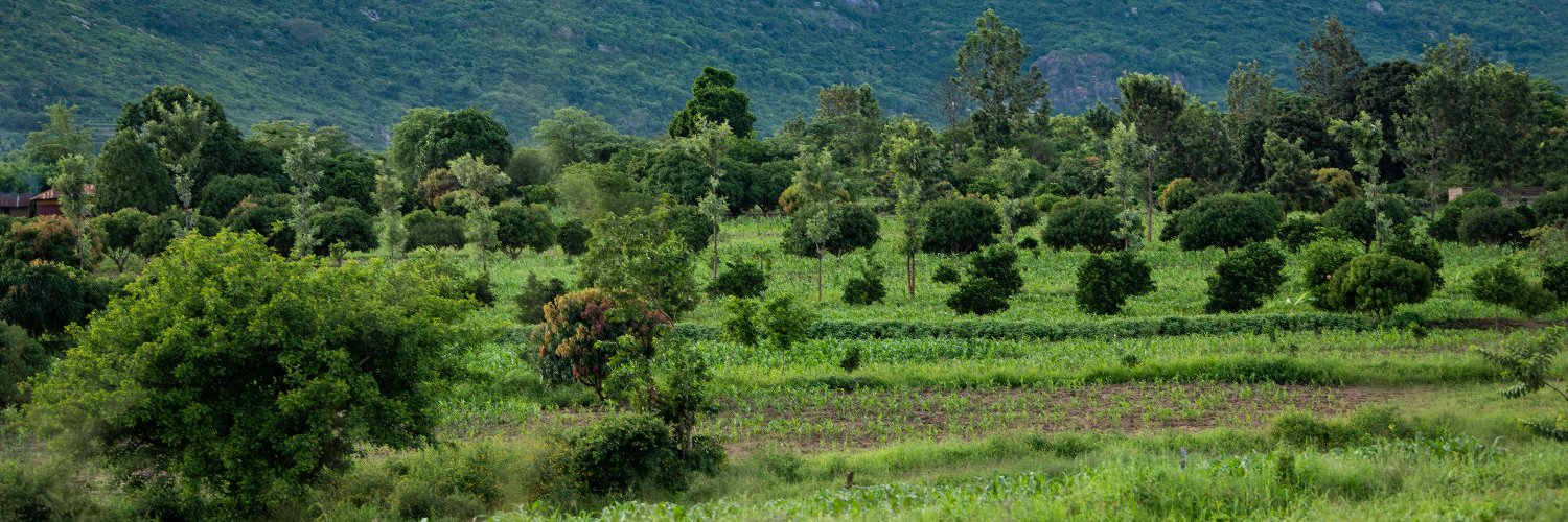 International Union for Agroforestry banner
