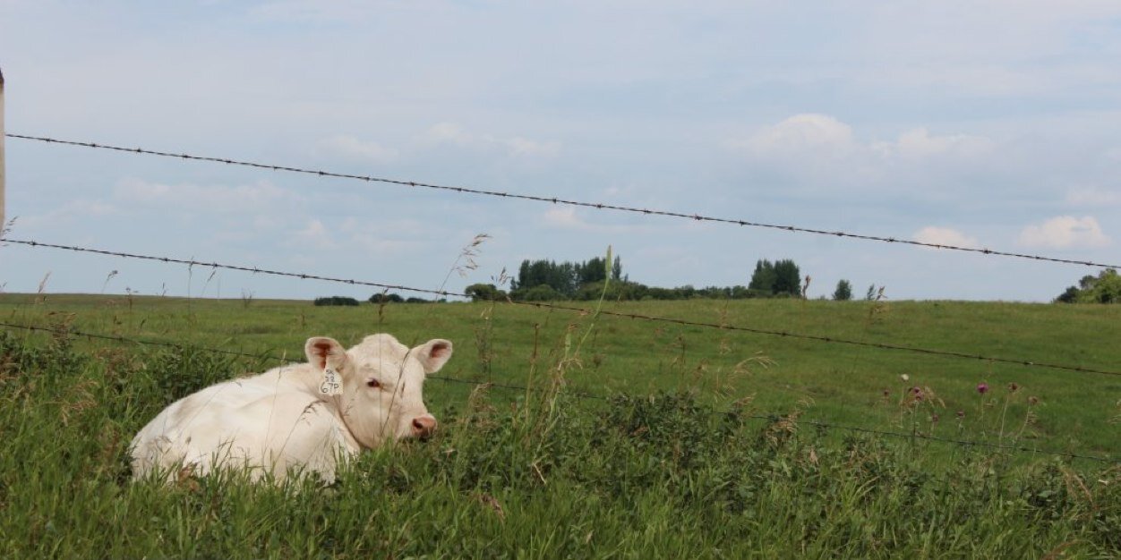 ASparrowFarms's profile banner image