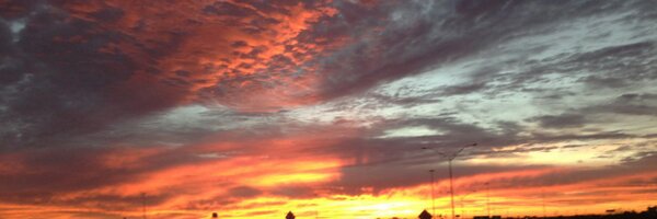 LeeFly Profile Banner