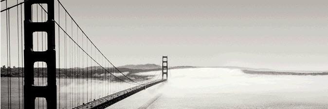 berylsanders's profile banner image