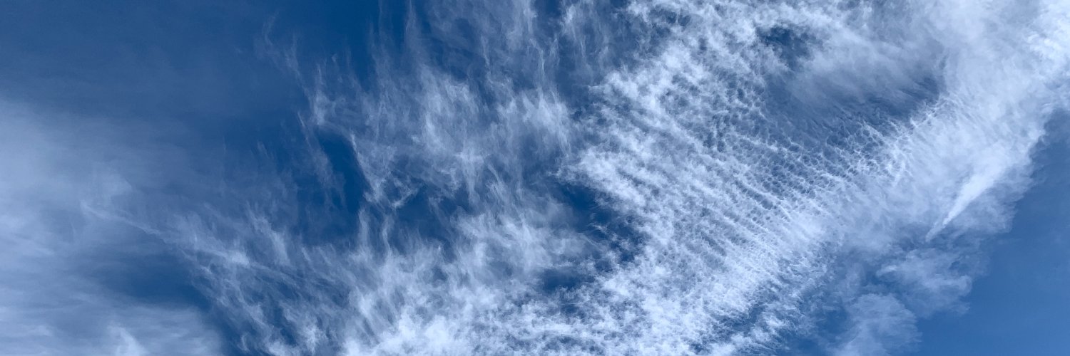 (((Ginnie Lupi))) banner