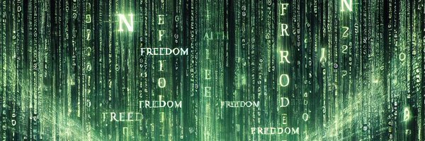 fightintuition Profile Banner