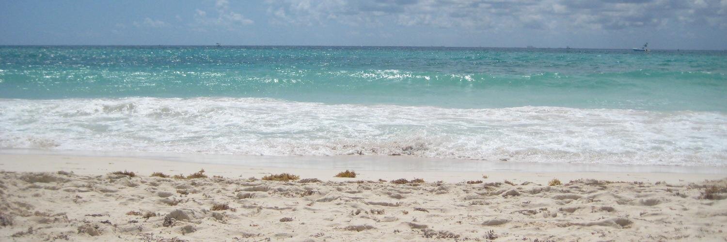 pamelardzc's profile banner image