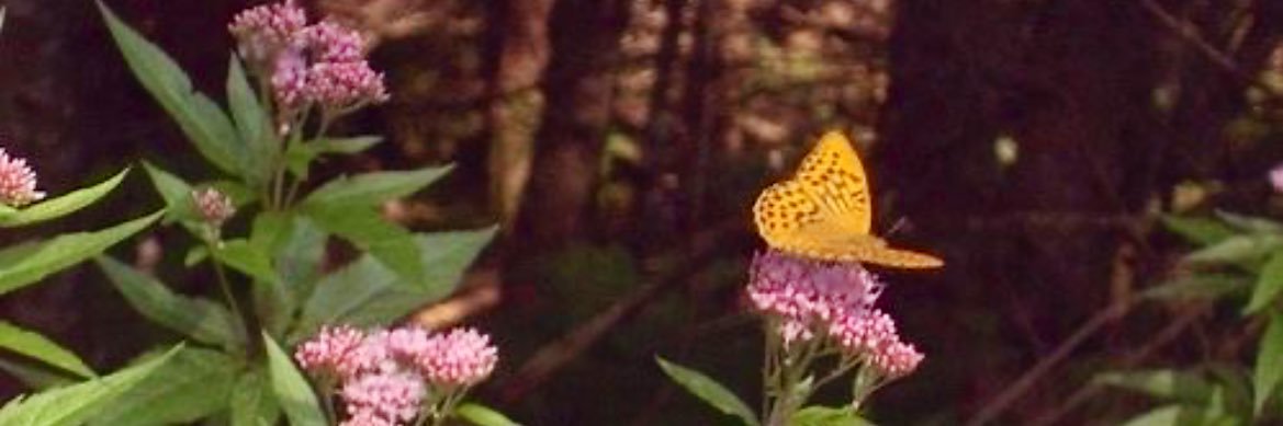 vernbadass's profile banner image