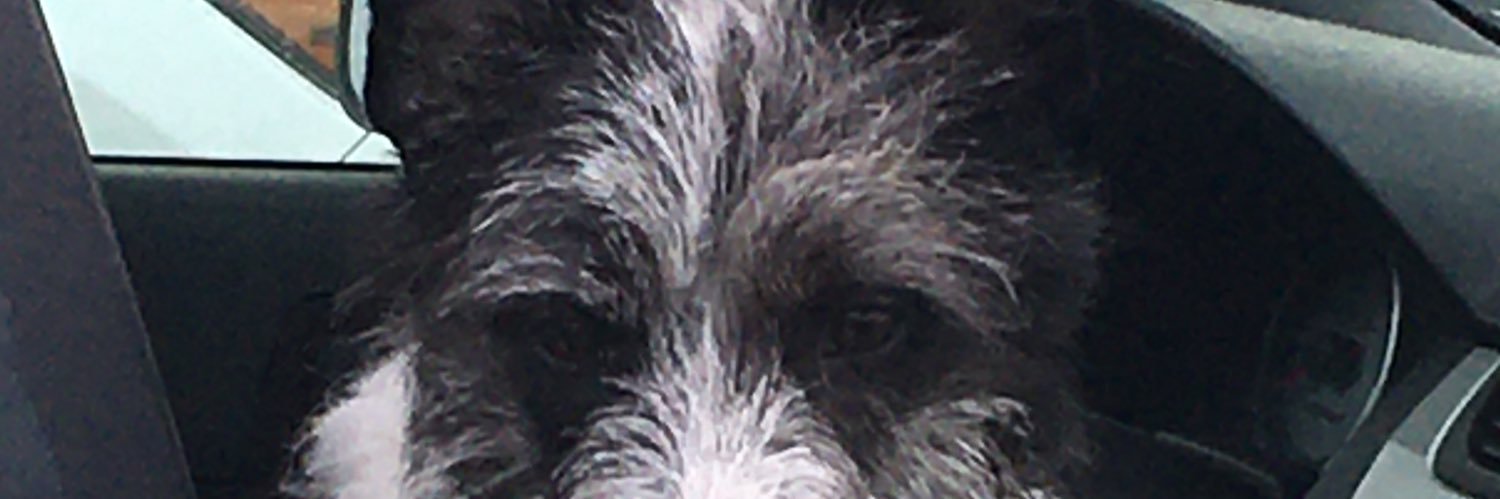 socalchzhead's profile banner image