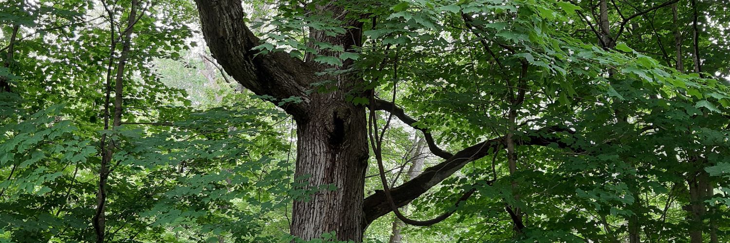 BranStan76's profile banner image