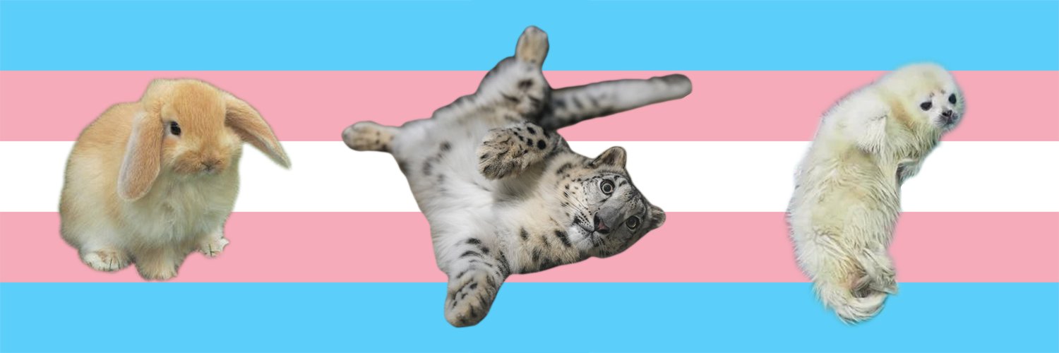 lorelei 🐧🏴‍☠️🦬💜 banner