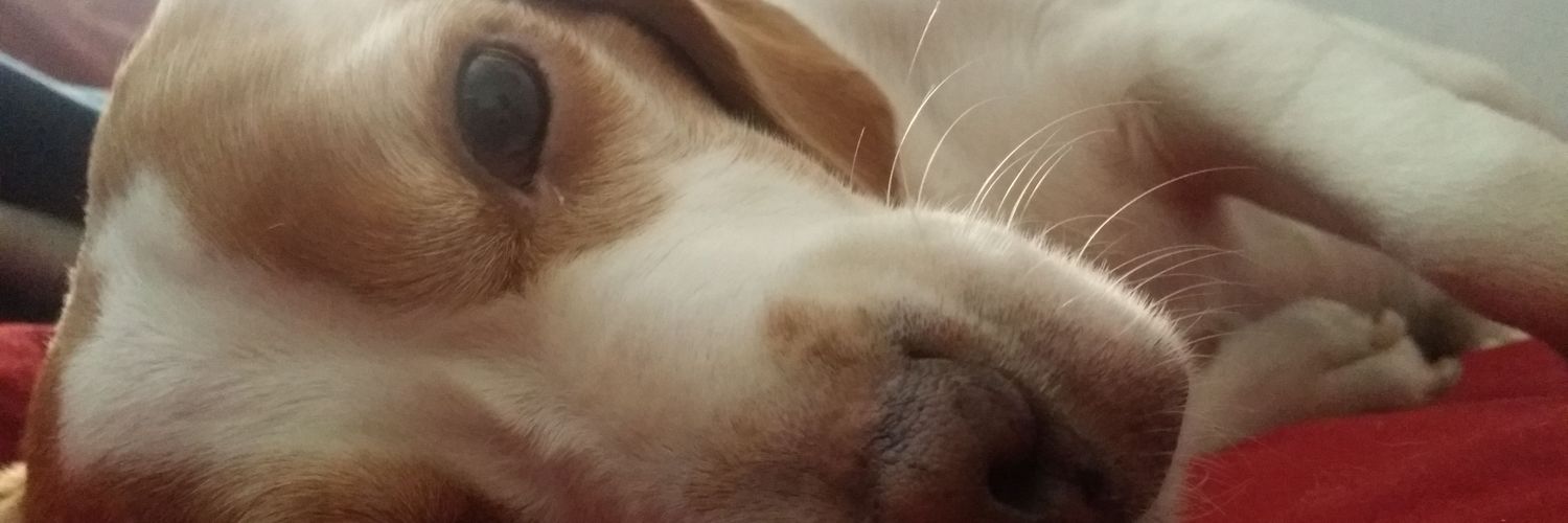 cleoveja's profile banner image