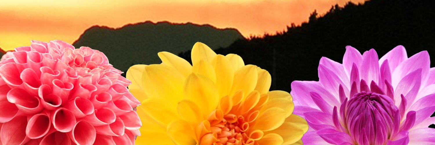 Ｎ郎♪ banner