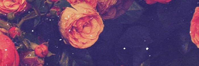 abigaileyx's profile banner image