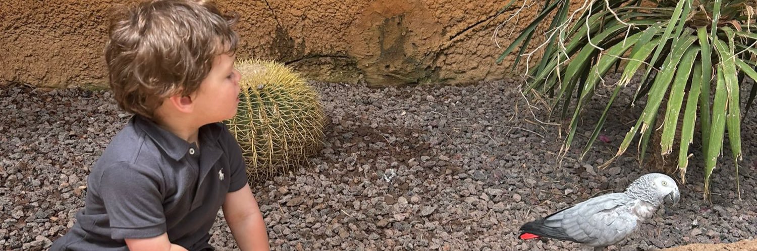 mattmurton_'s profile banner image