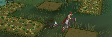 RainforestRS's profile banner image