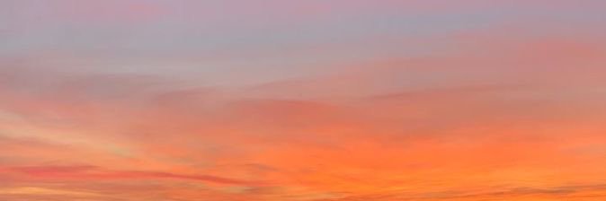 sofivallejoc's profile banner image
