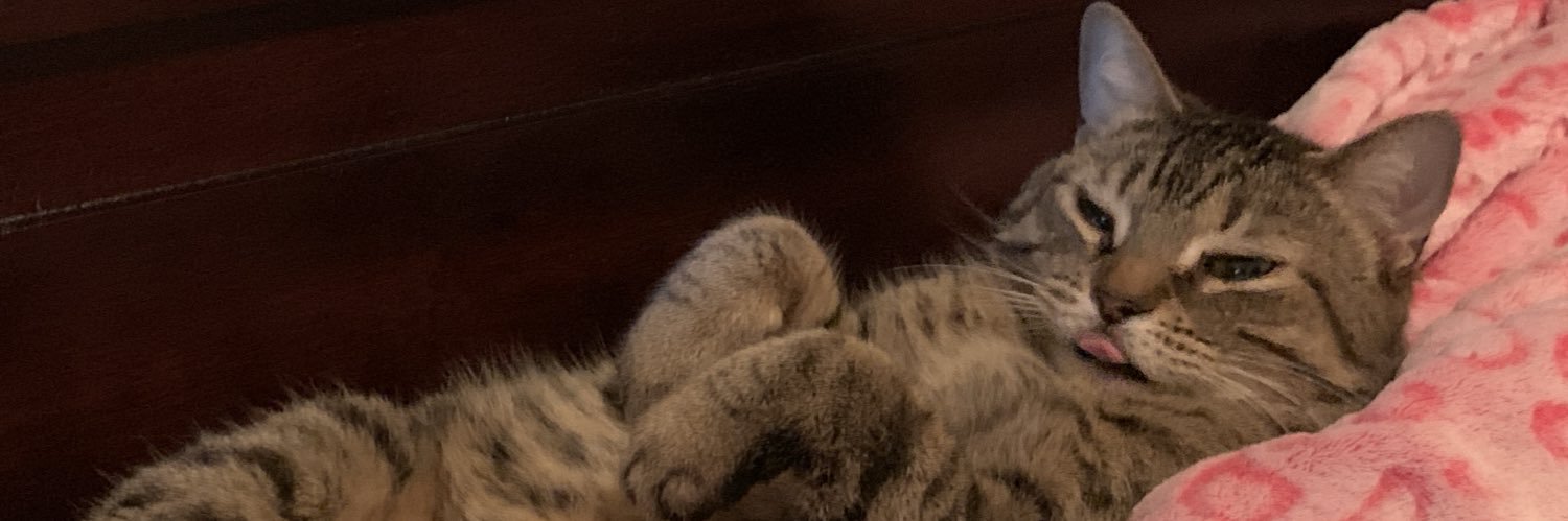 Jessuupk's profile banner image