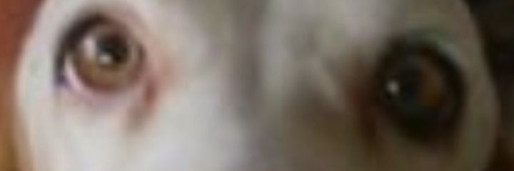 Edo_Castro_M's profile banner image